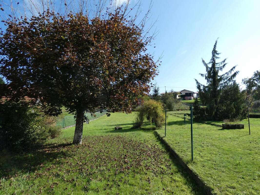 Photo 8 - Maison à BITCHE