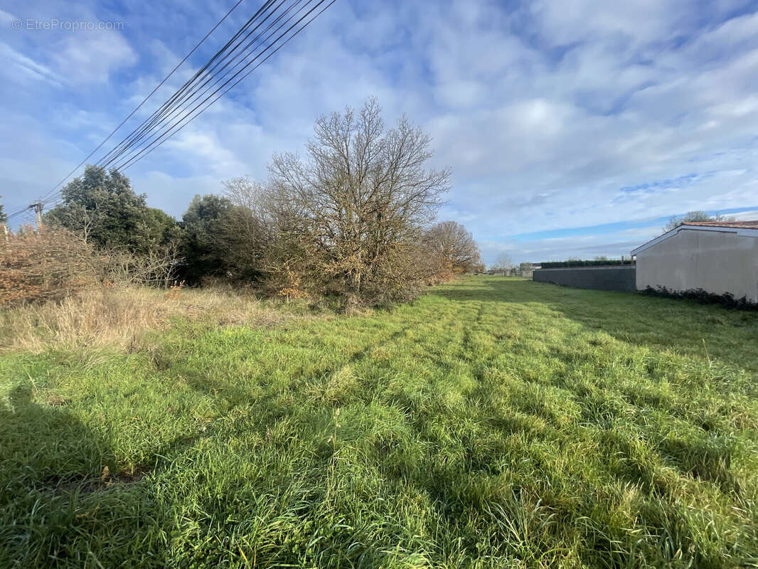 Terrain à CARBONNE
