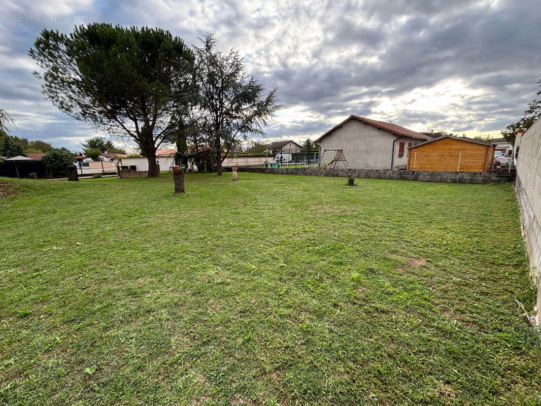 Terrain à SAINT-ROMAIN-DE-JALIONAS
