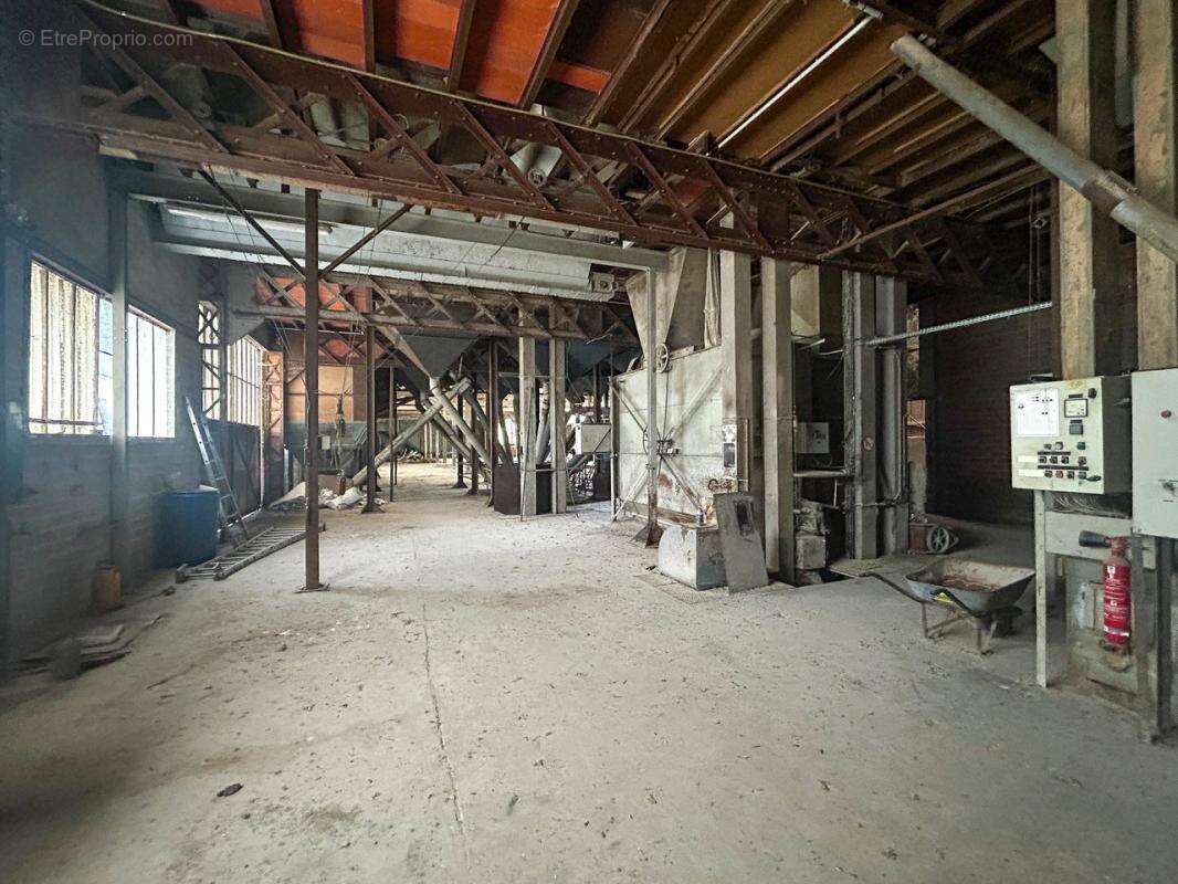 Entrepôt Châtres Sur Cher 1080 m2 - photo 3