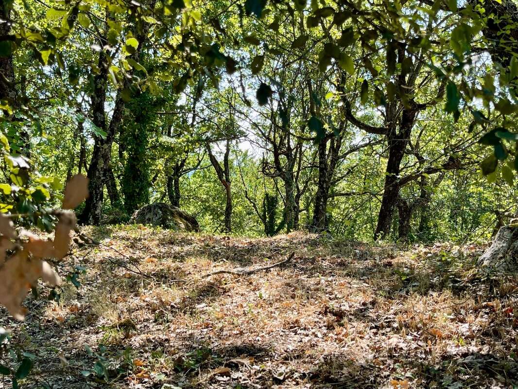 À vendre – Maison avec piscine et grand terrain arboré à Saignon (84400) - photo 8