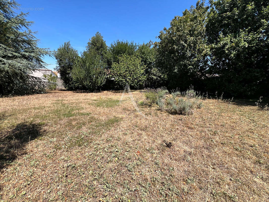 Terrain Longeville Sur Mer 555 m2 - photo 2