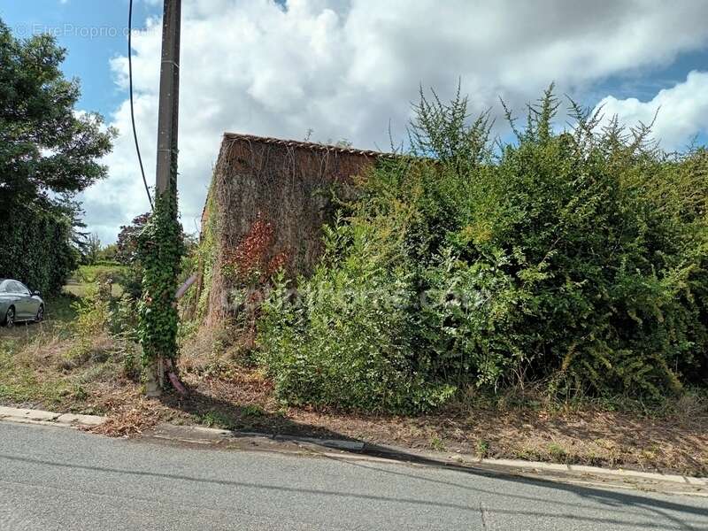 Maison à SAINT-ESTEPHE