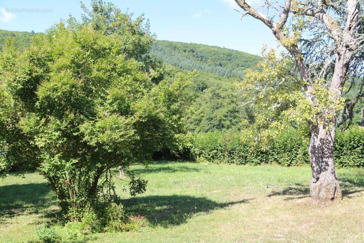 Maison à LAROCHEMILLAY