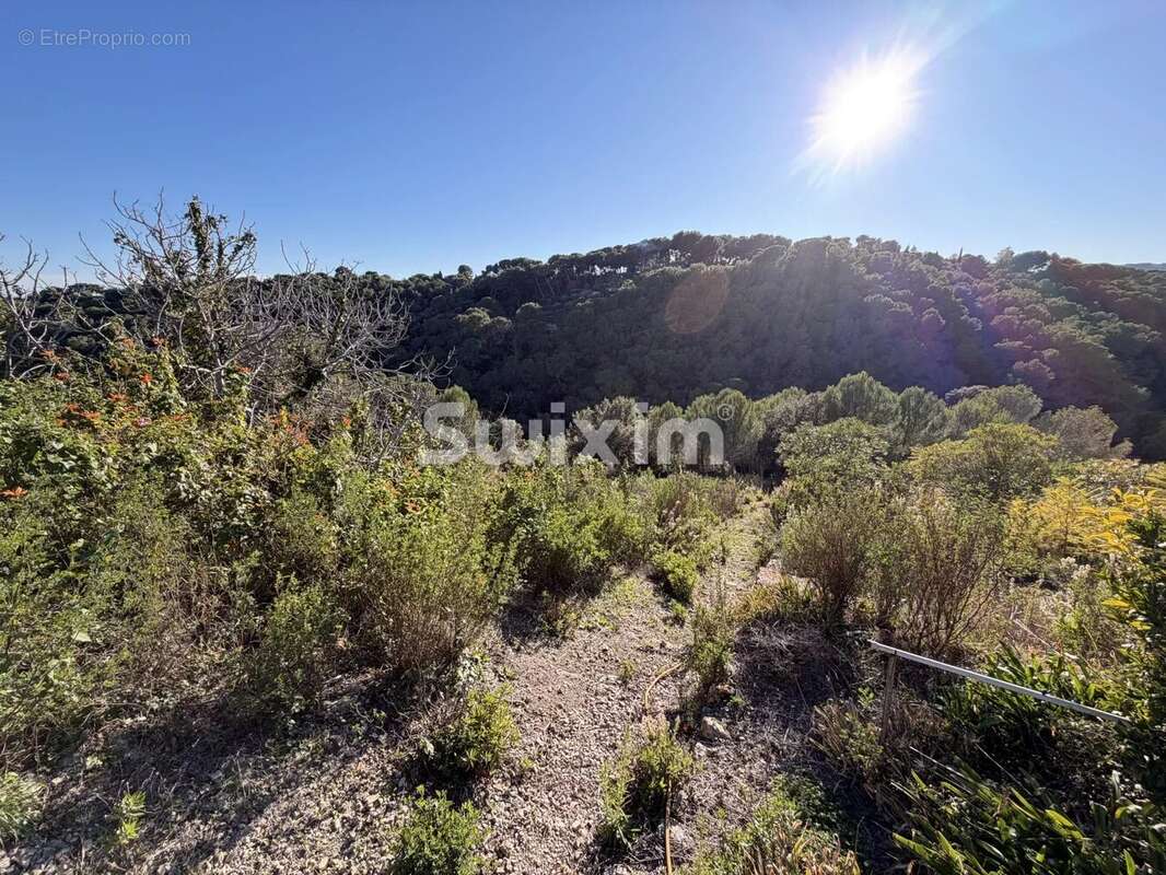 TERRAIN Constructible - photo 2