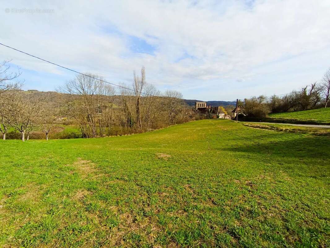 Vente Terrain Beaulieu-sur-dordogne(19120) 29 000ï¿œ - photo 3