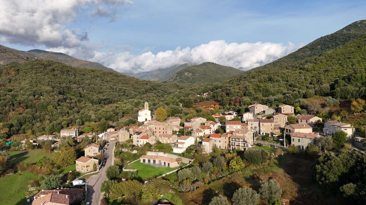 Appartement à MURZO