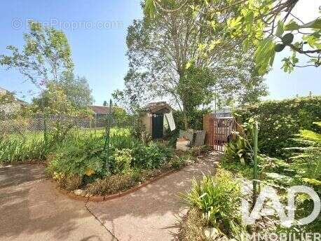 Photo 8 - Maison à ALBI