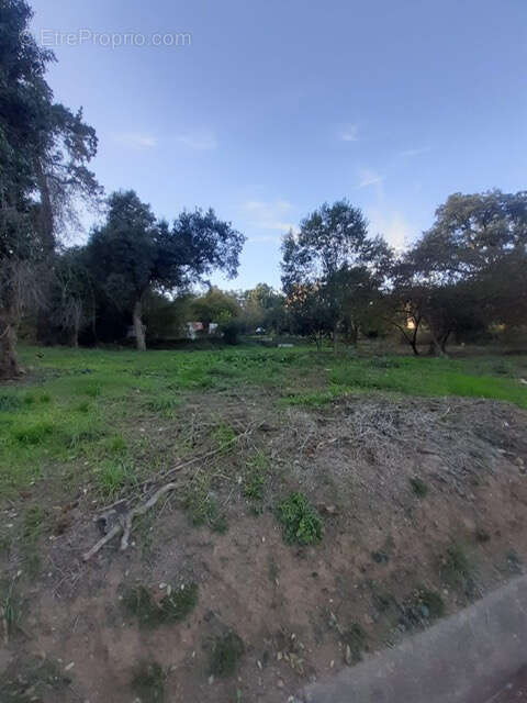 Terrain à SAN-NICOLAO