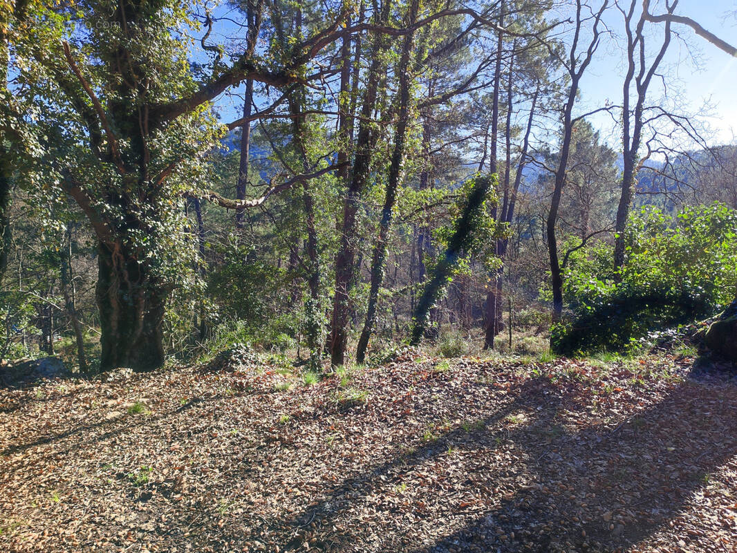 Terrain à LAVAL-PRADEL