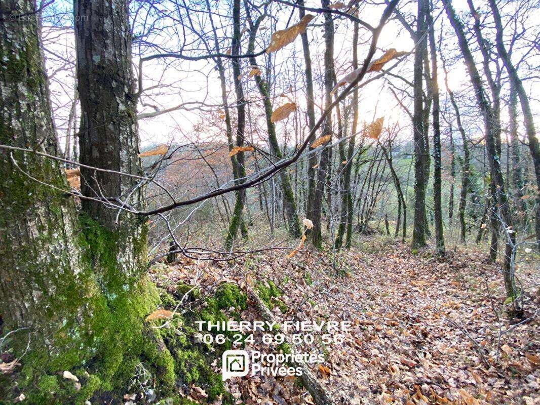 Maison à VILLAINES-LES-ROCHERS