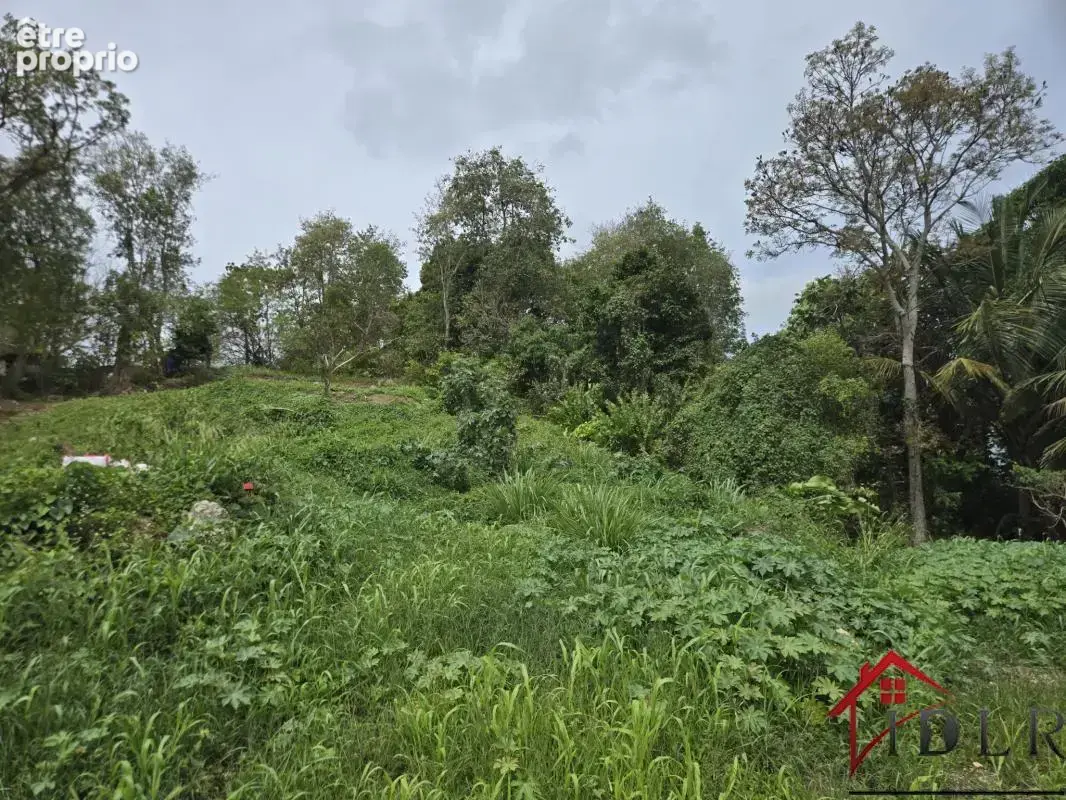 terrain constructible les Abymes 97139 Guadeloupe - photo 3