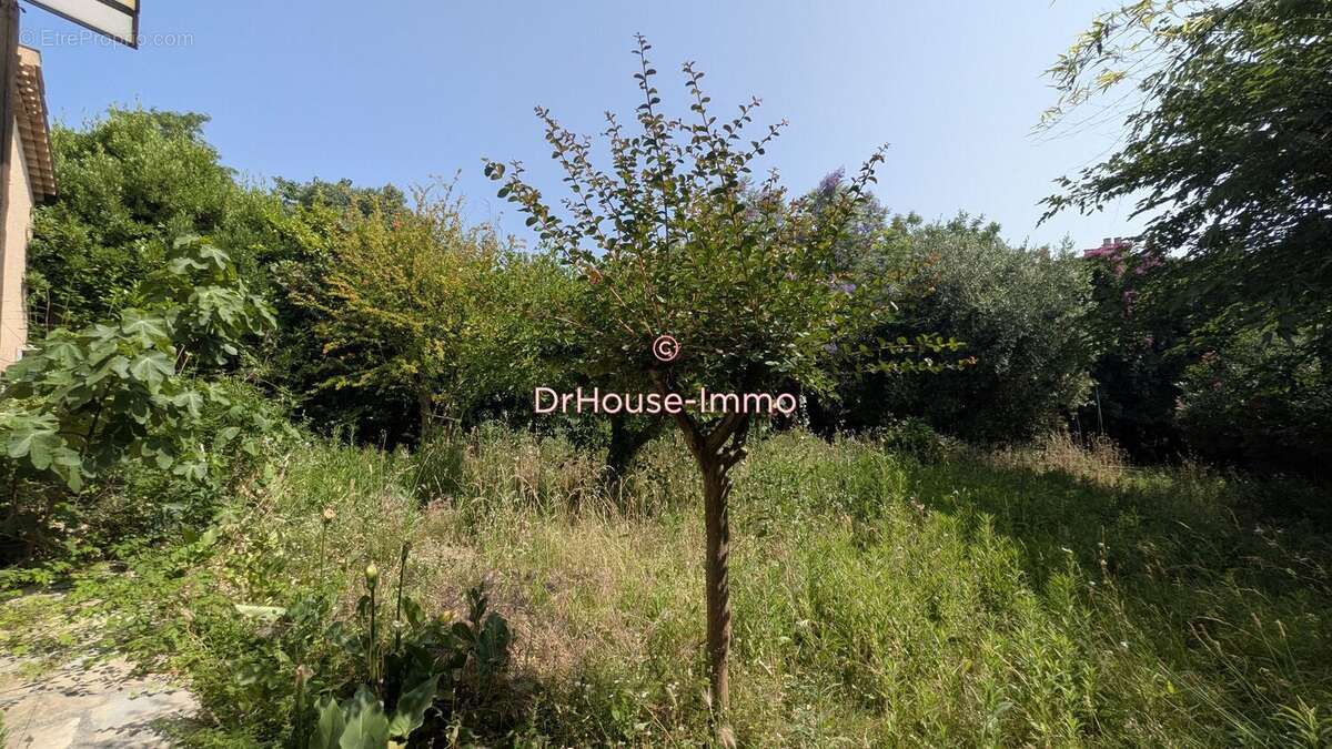 Maison à MONTPELLIER