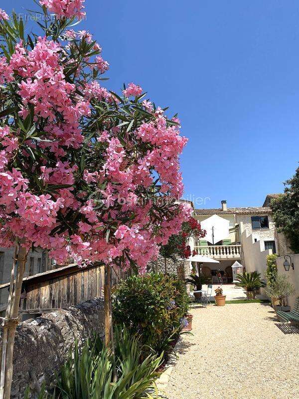 Charmante maison - photo 9