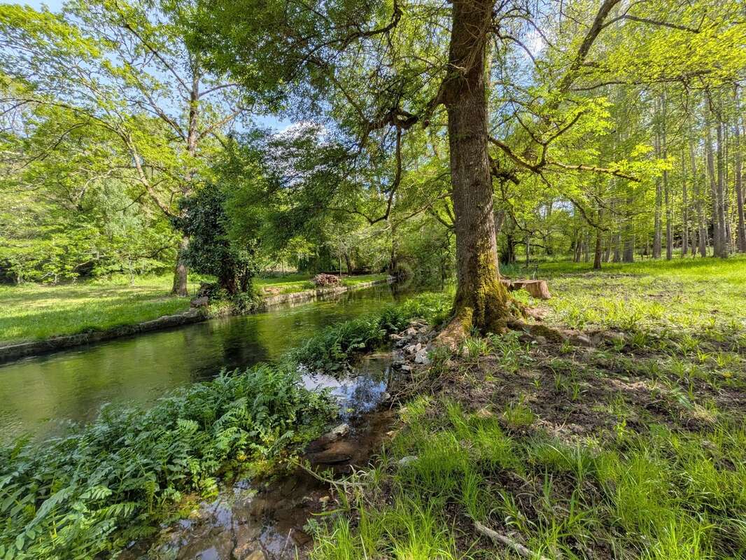 Un Véritable Paradis à 5 minutes de Cognac ! - photo 18