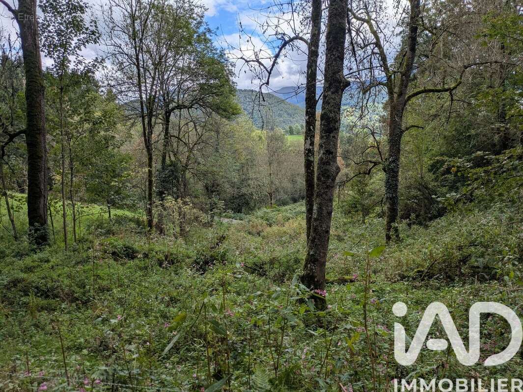 Photo 6 - Maison à BOUSSENAC