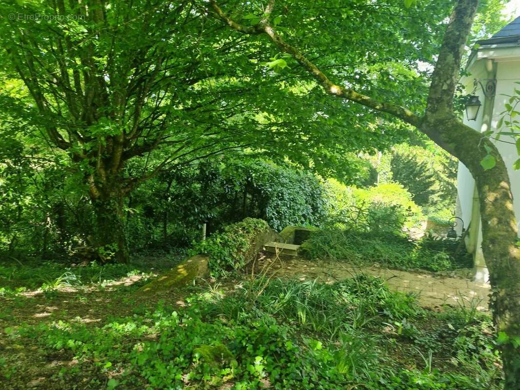 Maison à JOUE-LES-TOURS