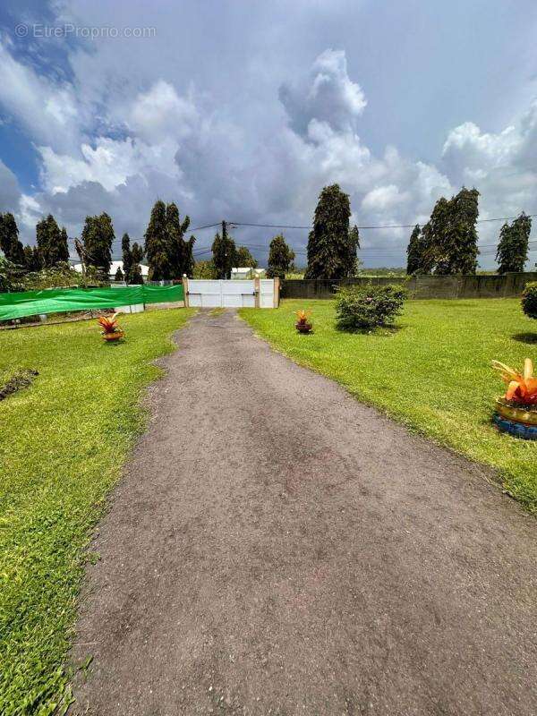 Terrain à PETIT-BOURG