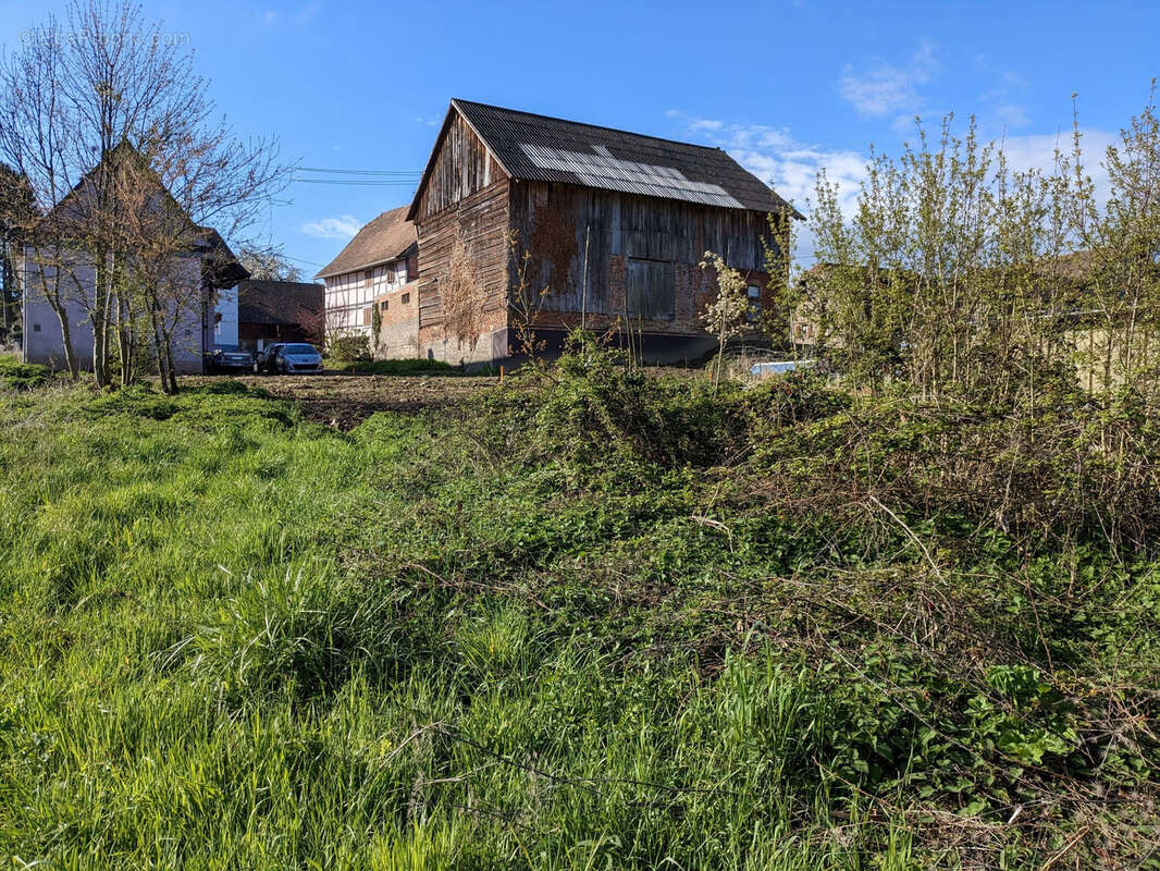Terrain à HELFRANTZKIRCH