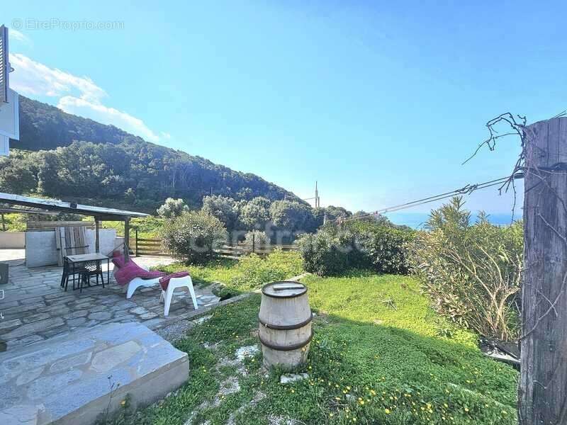 Maison familiale de 226 m2 divisée en 4 habitations indépendantes, vue mer, terrain 2000 m2, garage et terrasses à MORSIGLIA (HA - photo 8