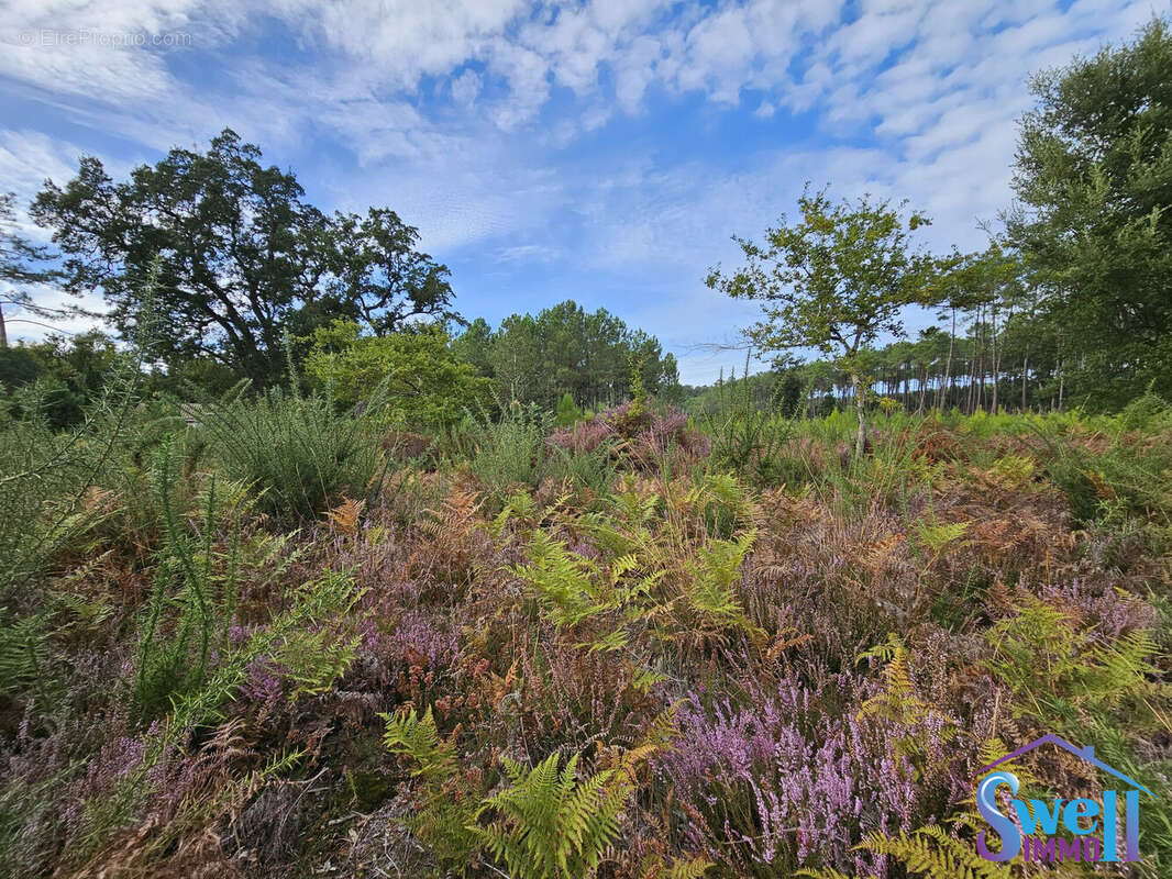 Terrain à MOLIETS-ET-MAA