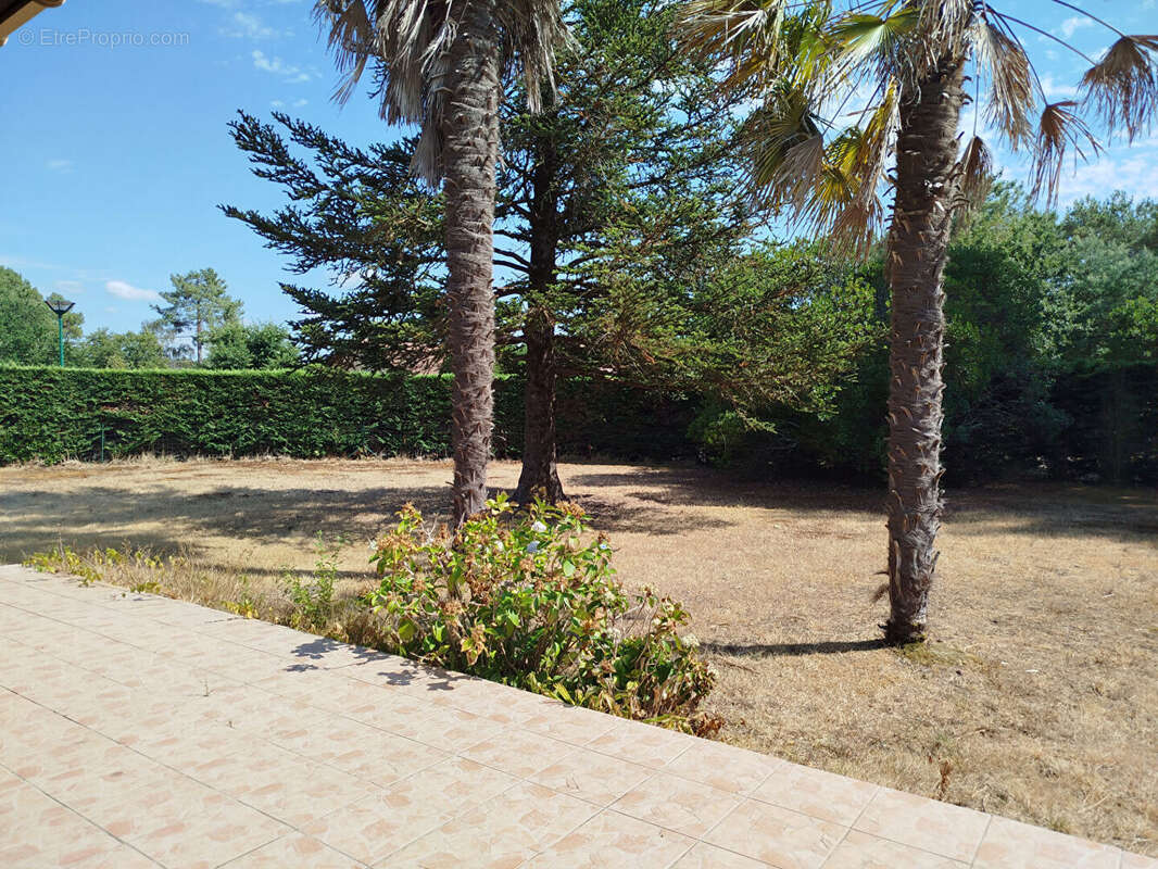 Maison Vielle Saint Girons 5 pièce(s) 123.46 m2 - photo 3