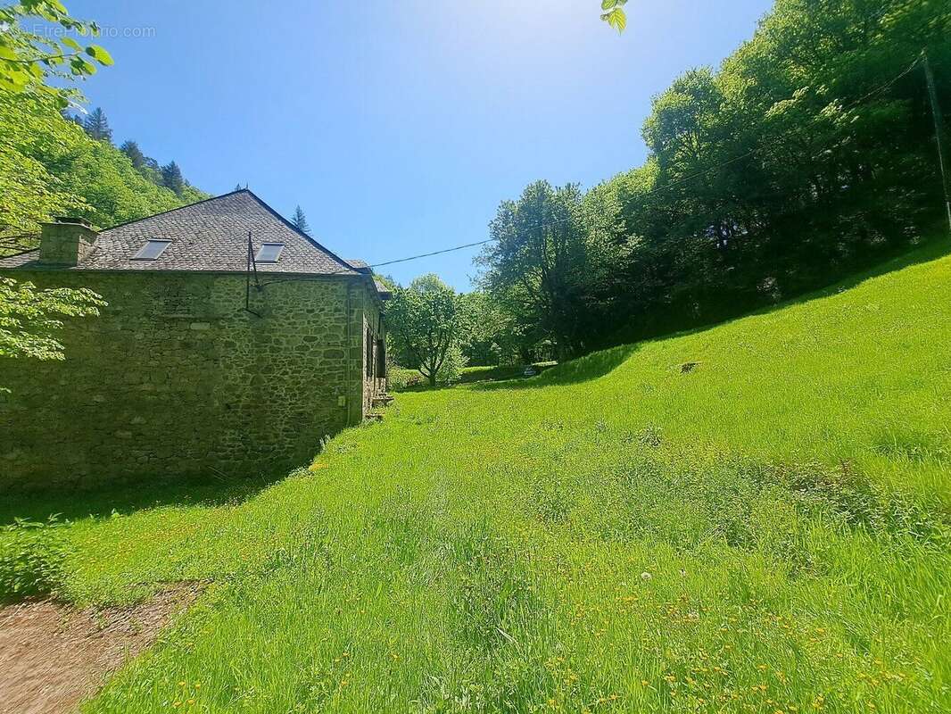 Magnifique ancien moulin rénové - La Roche Canillac - photo 13