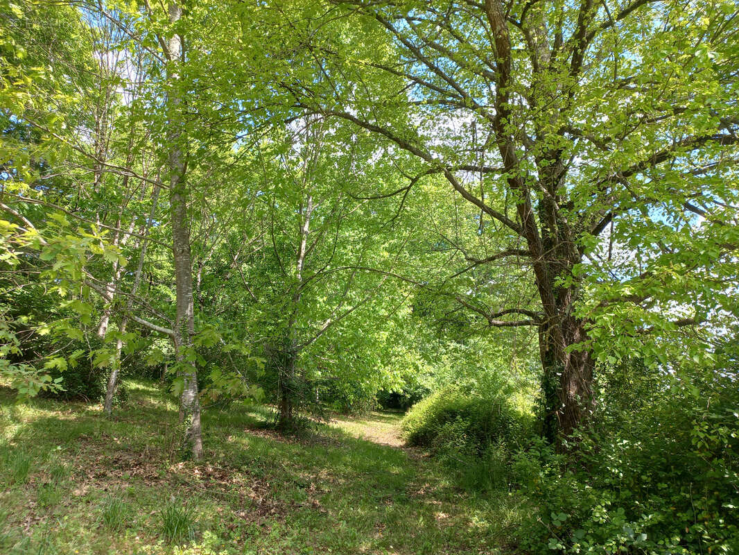 Maison à TRIE-SUR-BAISE