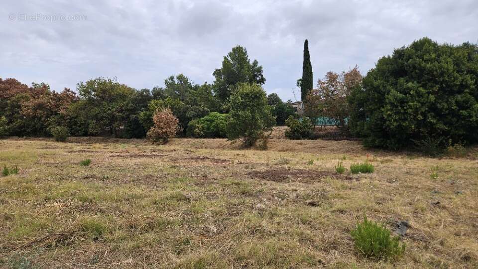 Terrain à FREJUS