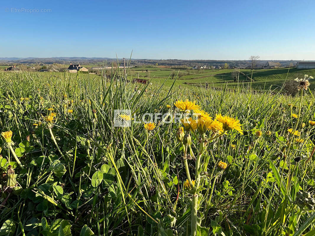 Proche bozouls / saint-julien de rodelle - photo 3