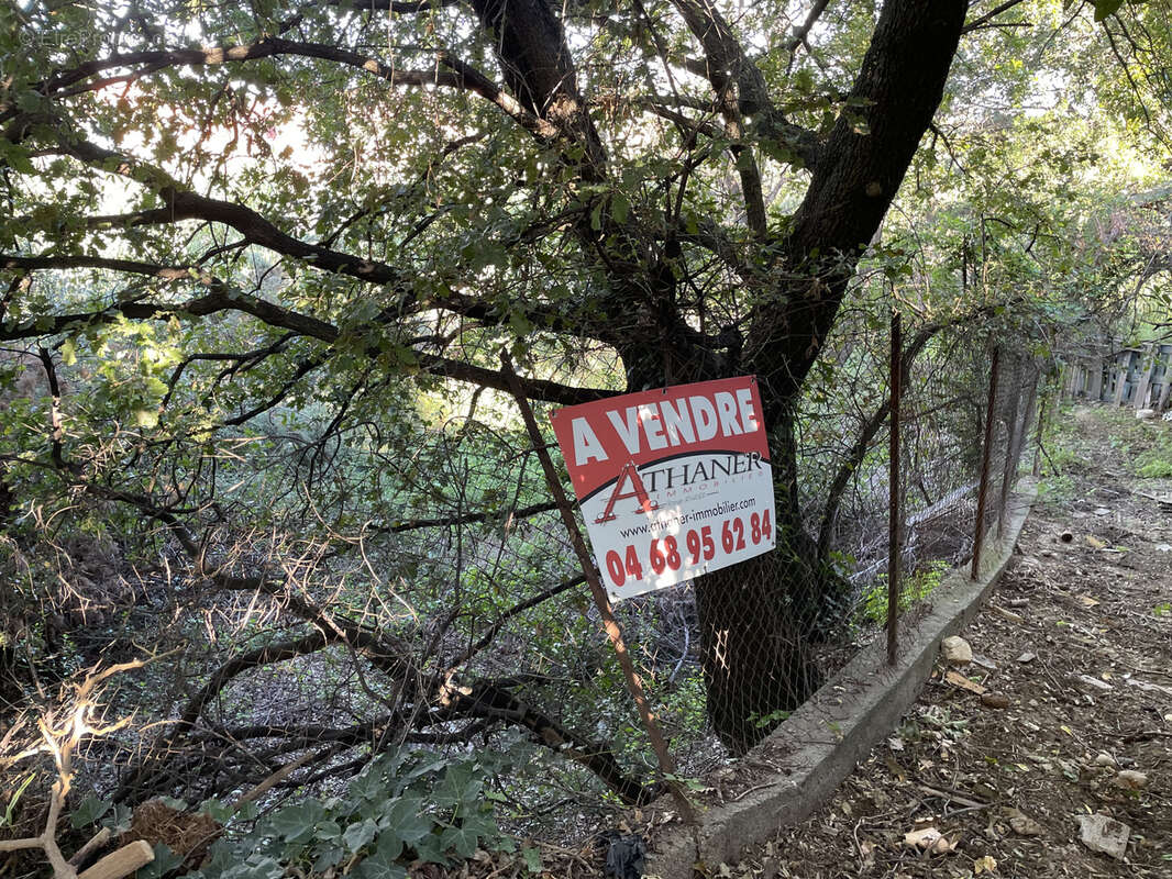 Terrain à ARGELES-SUR-MER