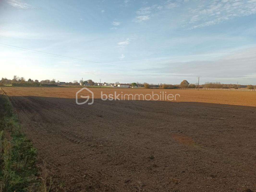  terrain d’activité – 9 653 m² – zone aux – thors (17) - photo 4