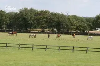 Haras de Reproduction Clé en Main sur 52 ha dans le Morbihan (5 - photo 5