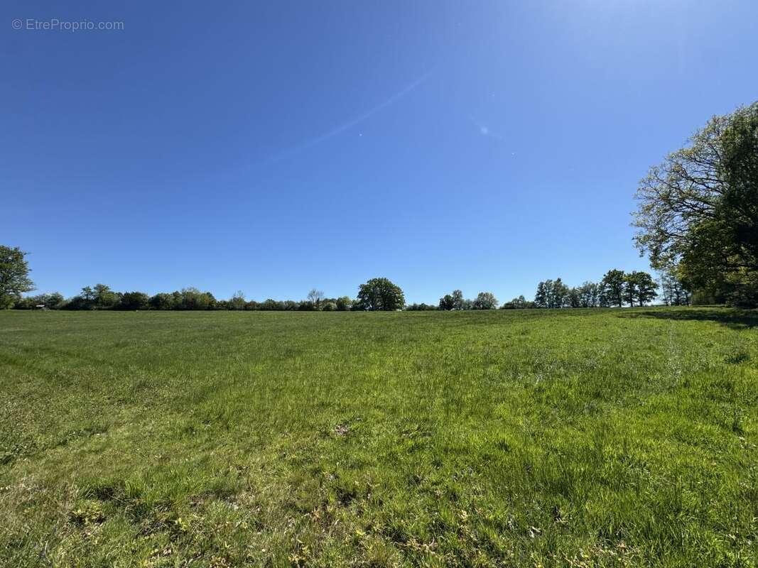 Maison 145 m² à Saint-Martin-De-La-Lieue  - photo 8