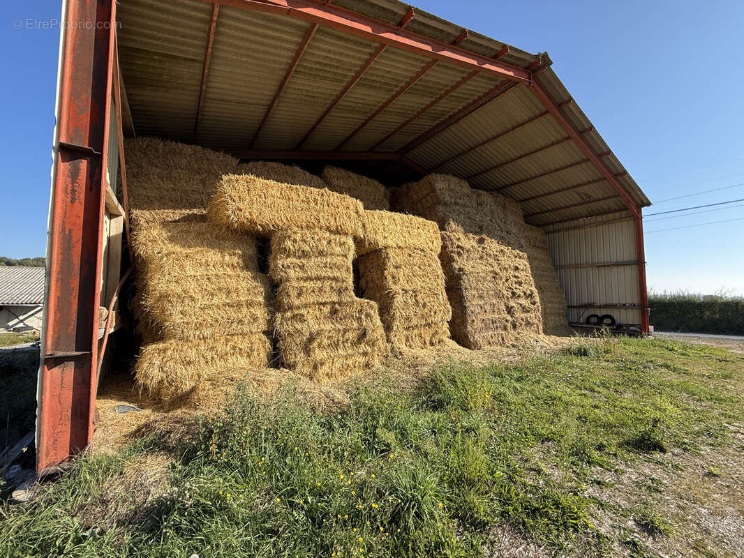Autre à SAINT-VICTOR-ET-MELVIEU
