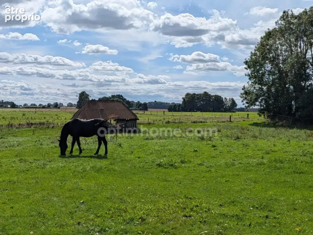  manoir du xviie siècle – 16 000 m² de terrain – dépendances - photo 25