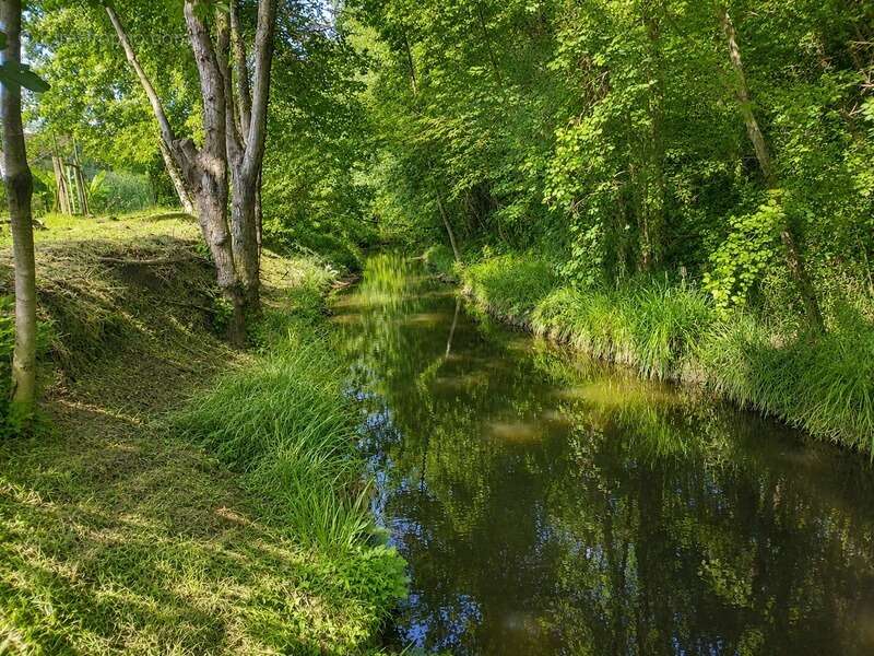 Maison familiale 5 chambres au calme, sans vis-à-vis, avec piscine et rivière en fond de jardin - photo 4
