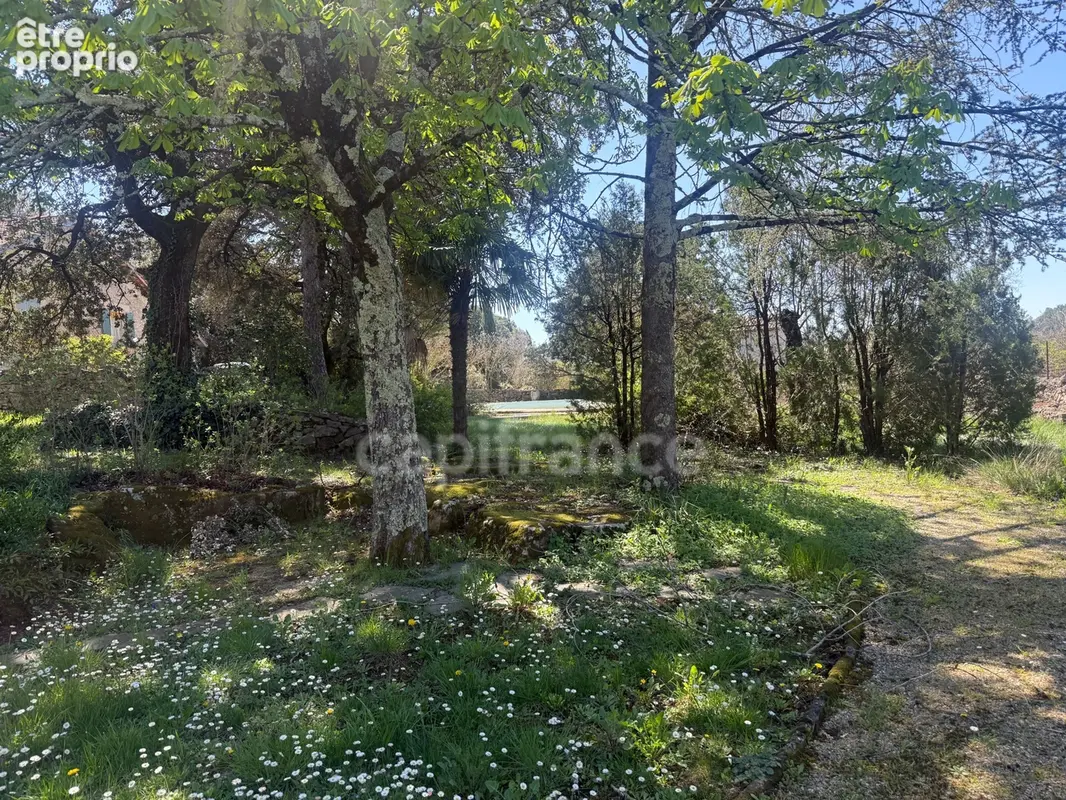 Propriété à vendre 11 pièces /Anduze (30) authentique Mas Cévenol sur terrain 2615 m2 - photo 2