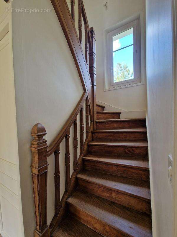 Maison à SELLES-SUR-CHER