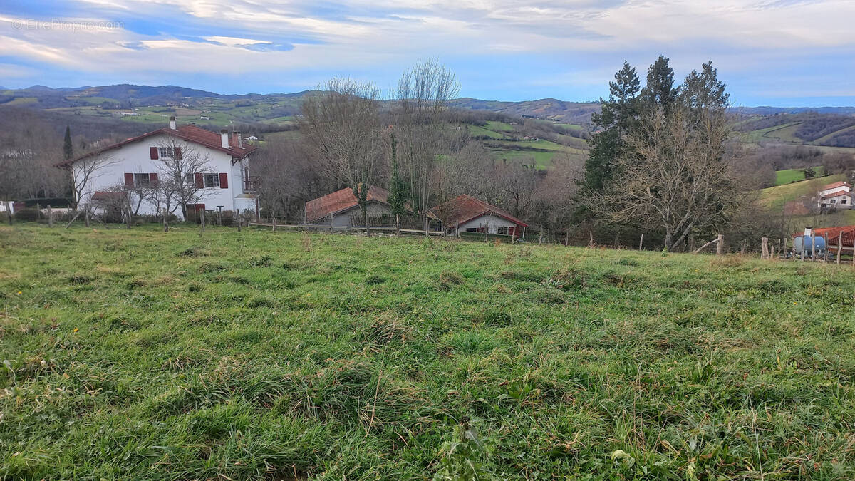 Terrain à SAINT-PALAIS