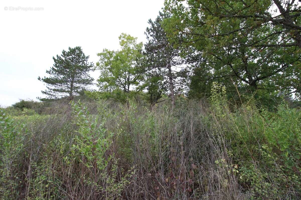 Terrain à MONTAZELS