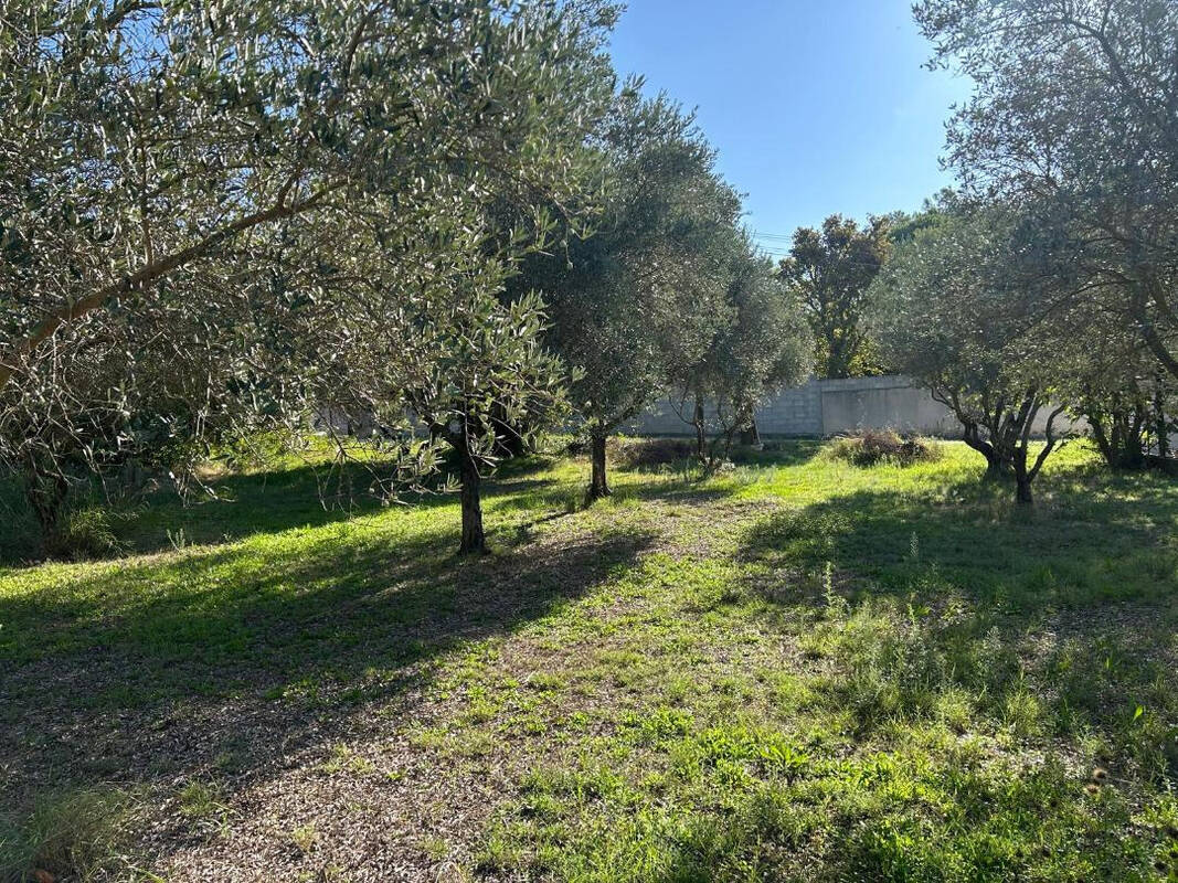 Terrain à L'ISLE-SUR-LA-SORGUE