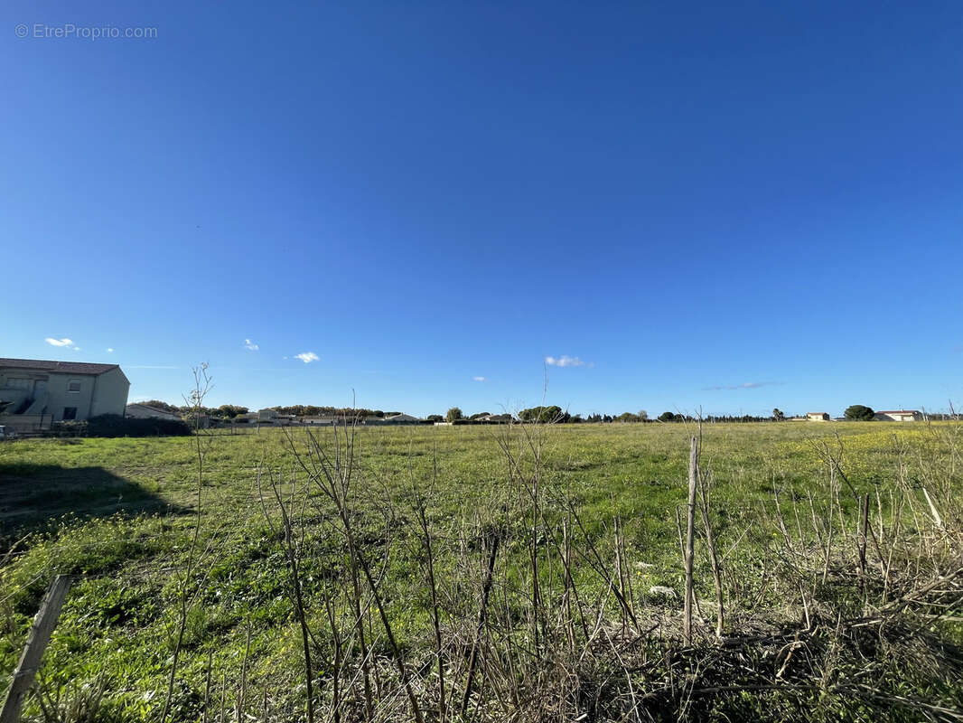 Terrain à GALLARGUES-LE-MONTUEUX