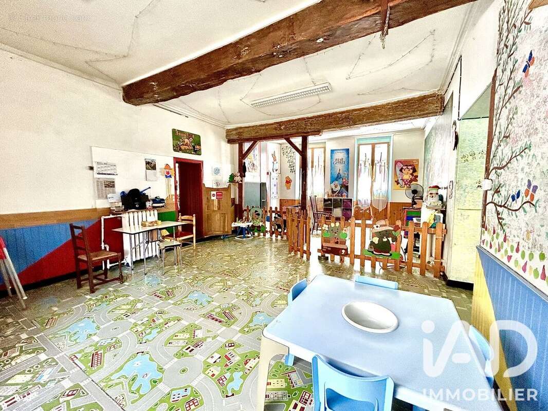 Maison 281 m² à Villeneuve-Sur-Yonne  - photo 6