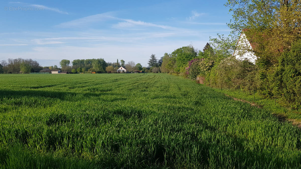 Terrain à BRAGNY-SUR-SAONE