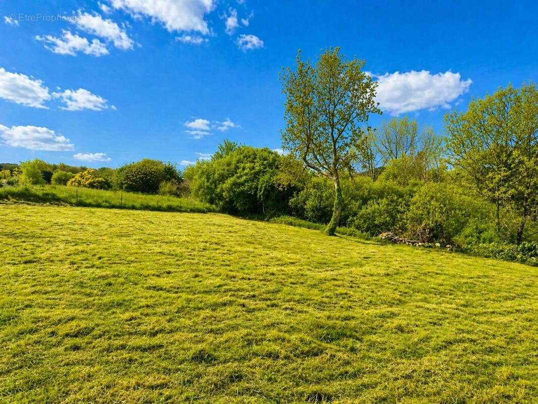 Photo 1 - Terrain à PLOUGOULM