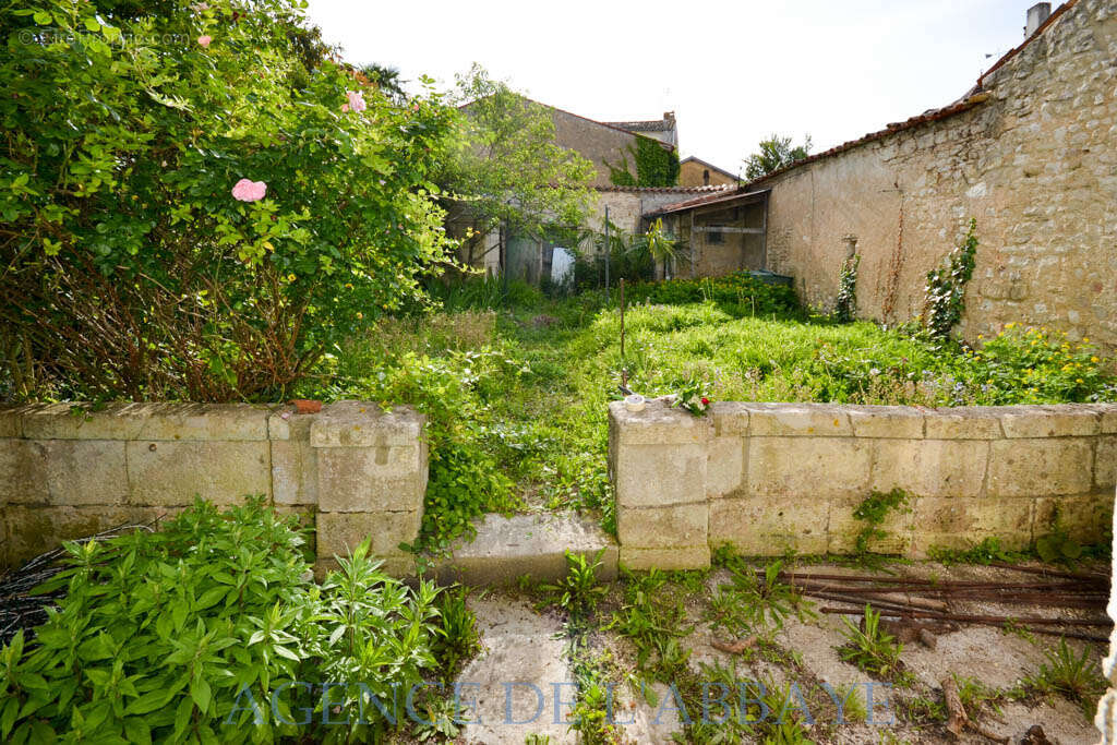 Maison à SAINT-JEAN-D'ANGELY
