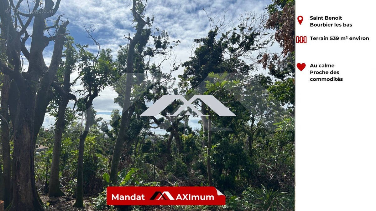Terrain à SAINT-BENOIT