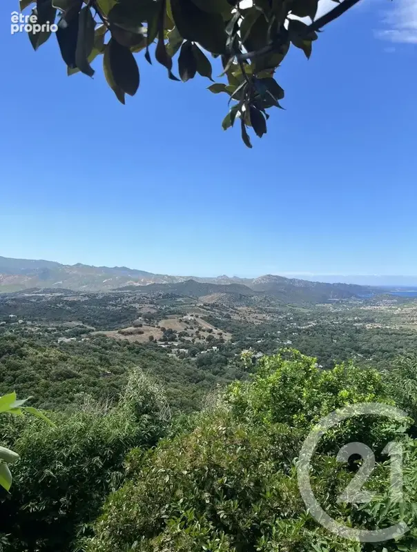 Terrain à OLETTA