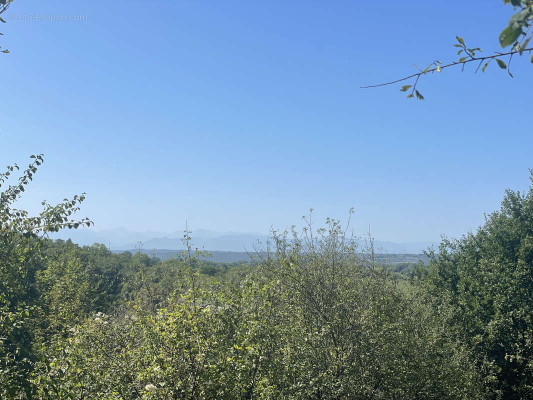 Maison à MAZEROLLES